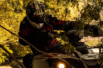 Access AMX 6.46 Basic 2017 - Bild 4